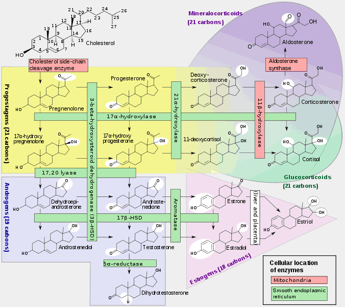 index.php/fa/18434/0/