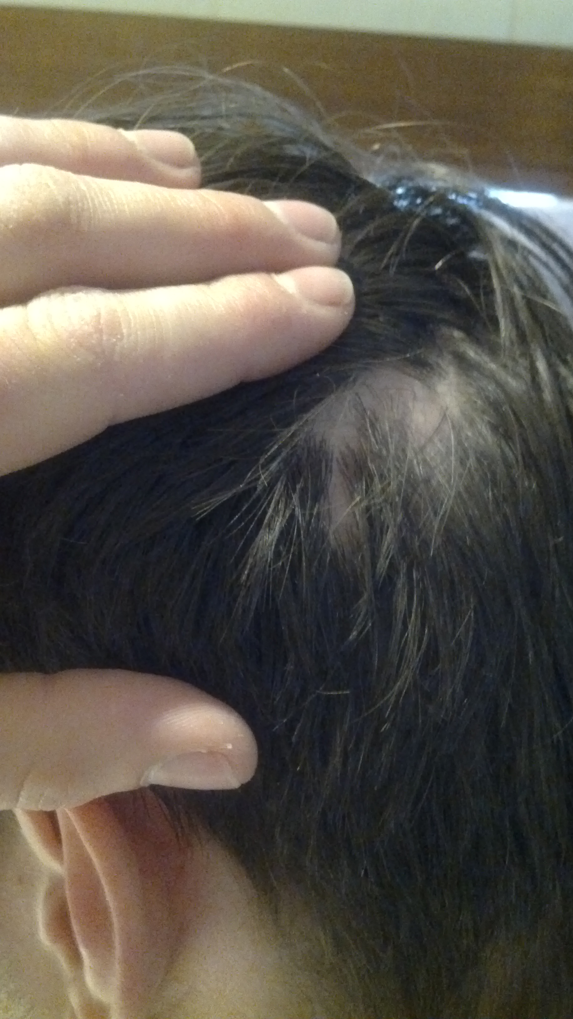 index.php/fa/18508/0/