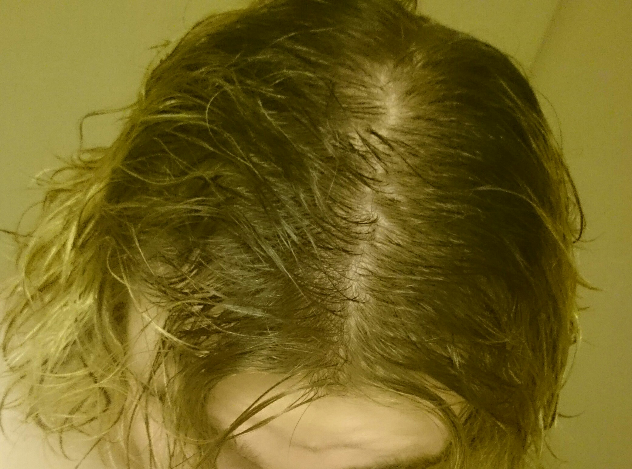 index.php/fa/19294/0/