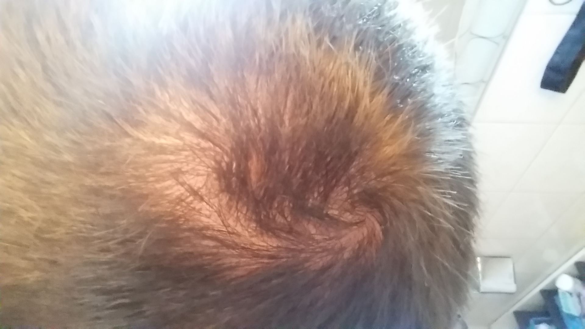 index.php/fa/19783/0/