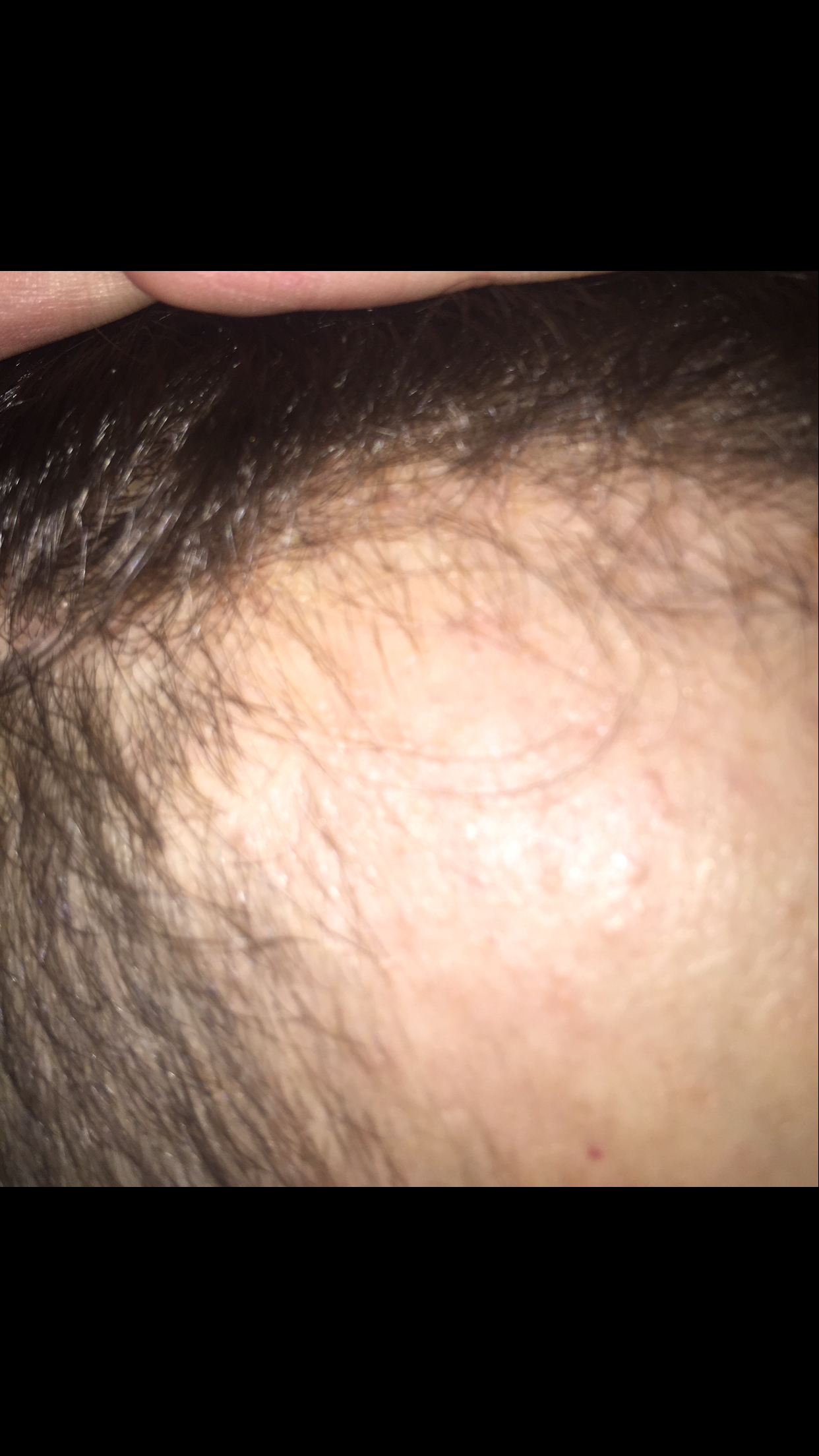 index.php/fa/19856/0/