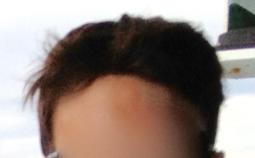 index.php/fa/20049/0/