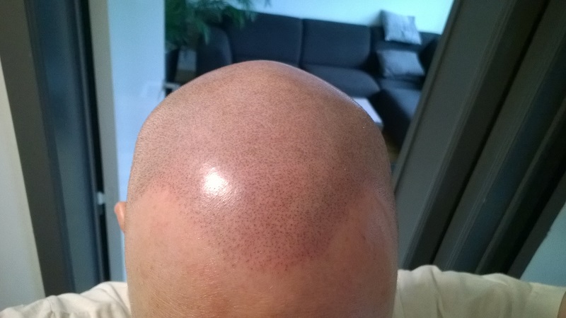 index.php/fa/20325/0/