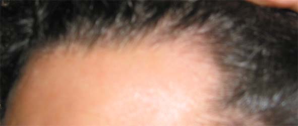 index.php/fa/2046/0/