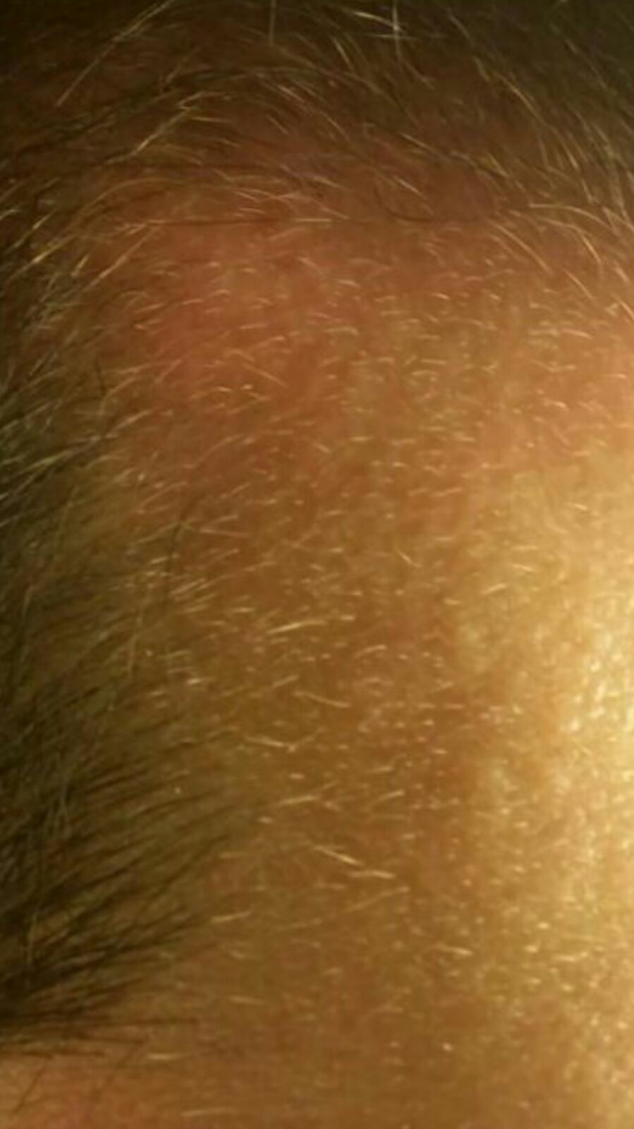 index.php/fa/20663/0/