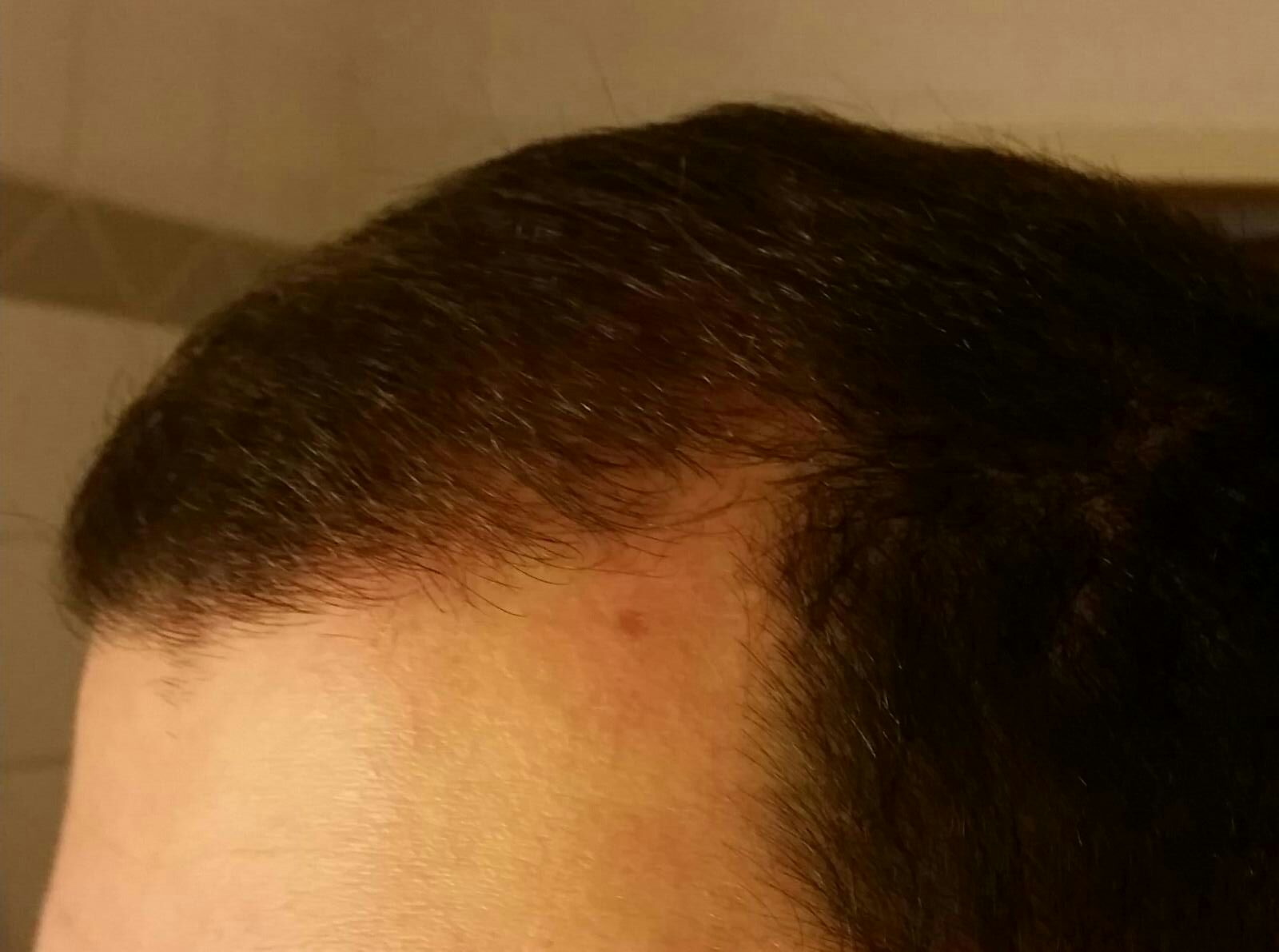 index.php/fa/20664/0/