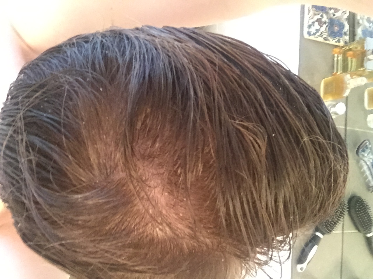 index.php/fa/20718/0/