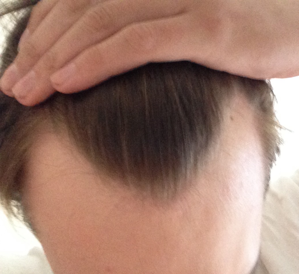 index.php/fa/20881/0/