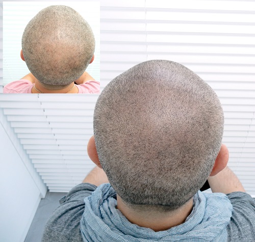 index.php/fa/20942/0/