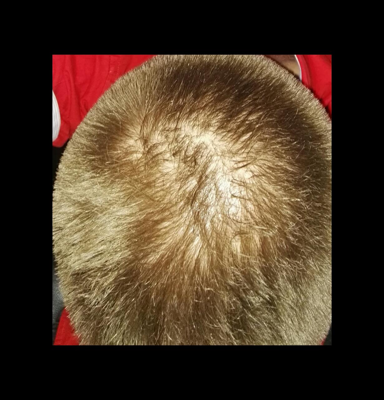 index.php/fa/21002/0/