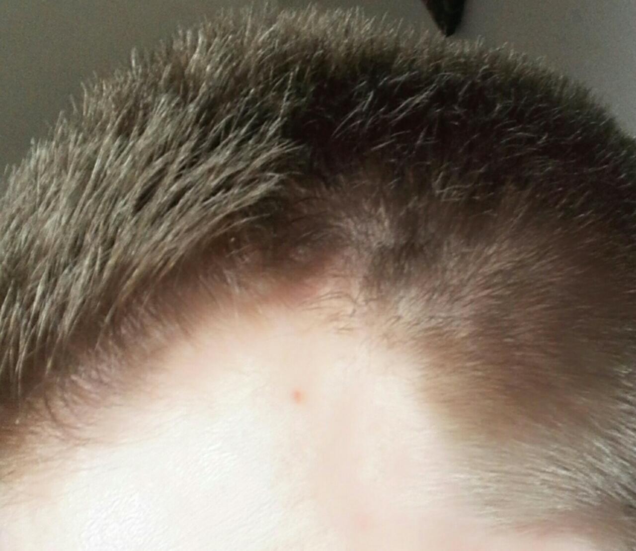 index.php/fa/21006/0/