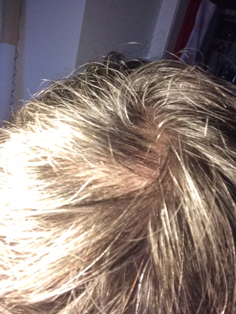 index.php/fa/21466/0/