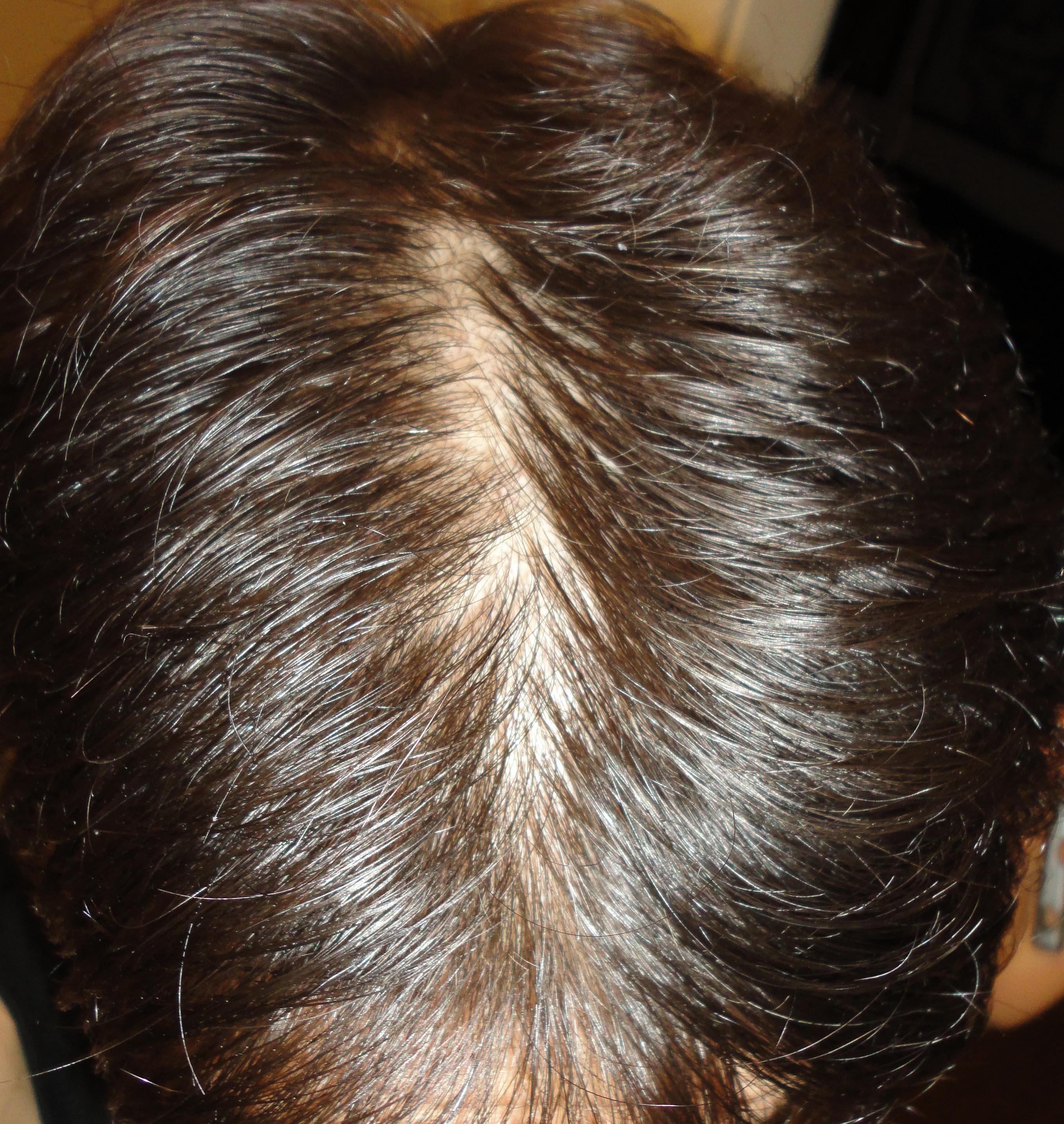 index.php/fa/21775/0/