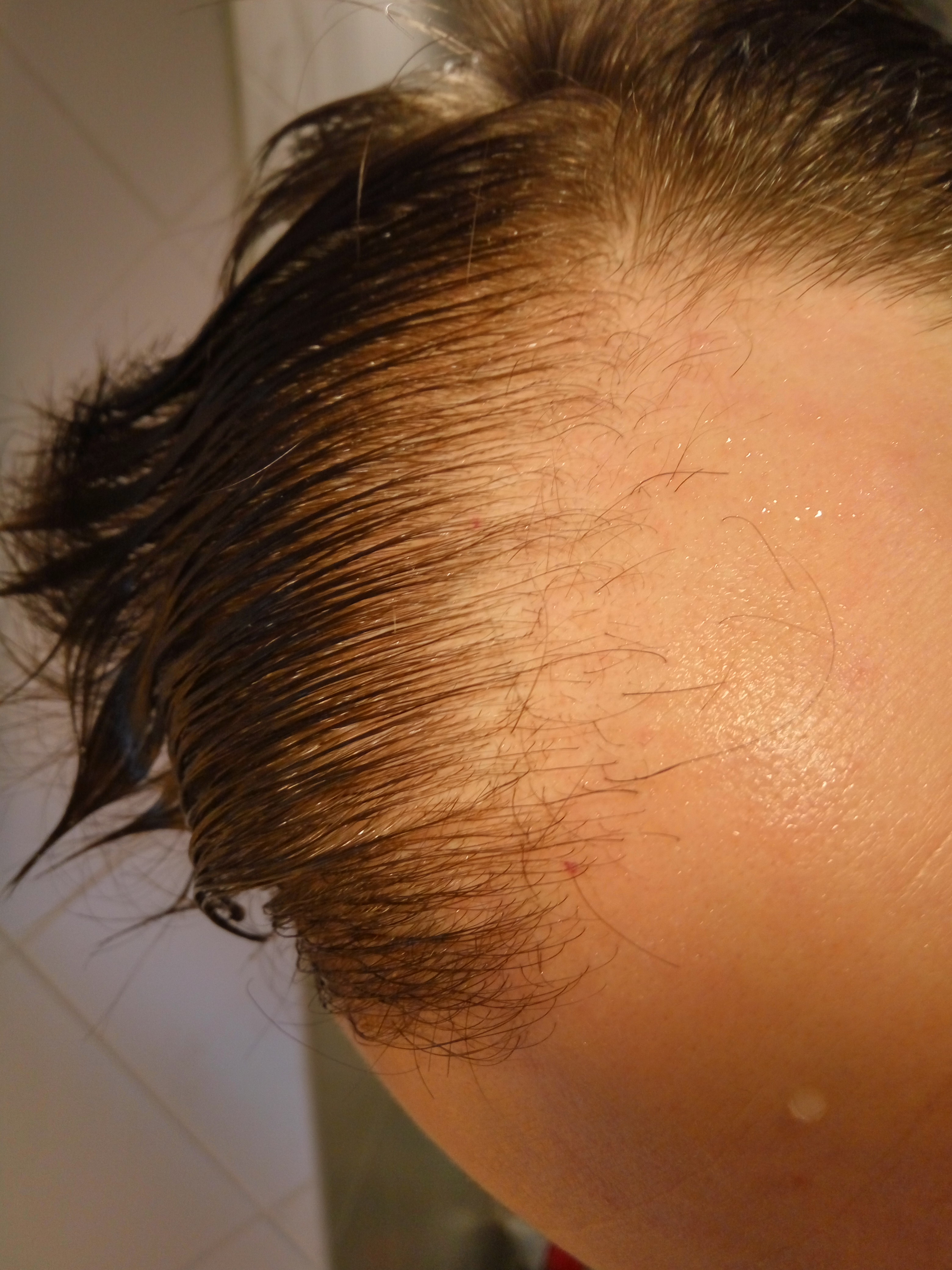 index.php/fa/21822/0/