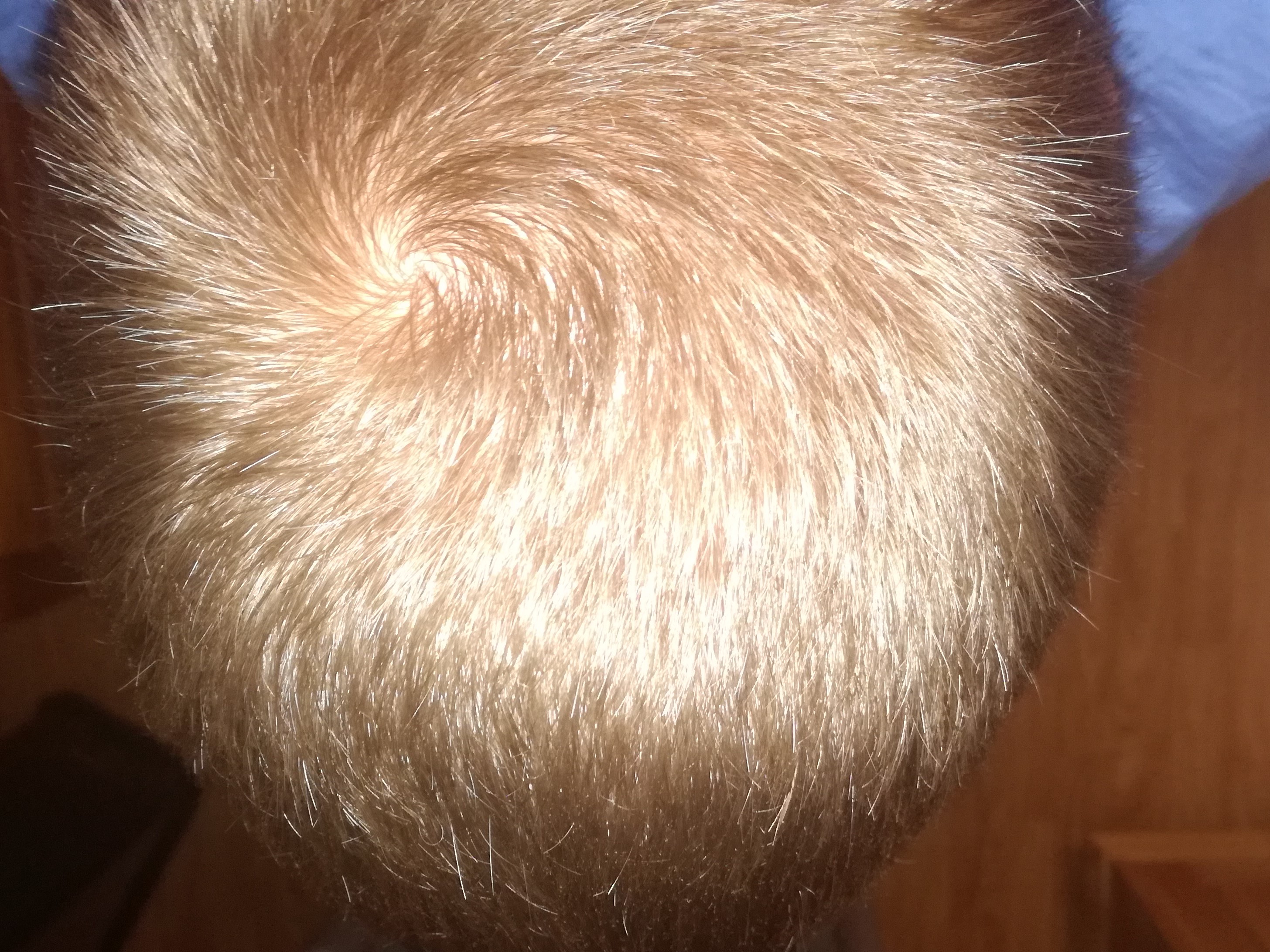 index.php/fa/22071/0/