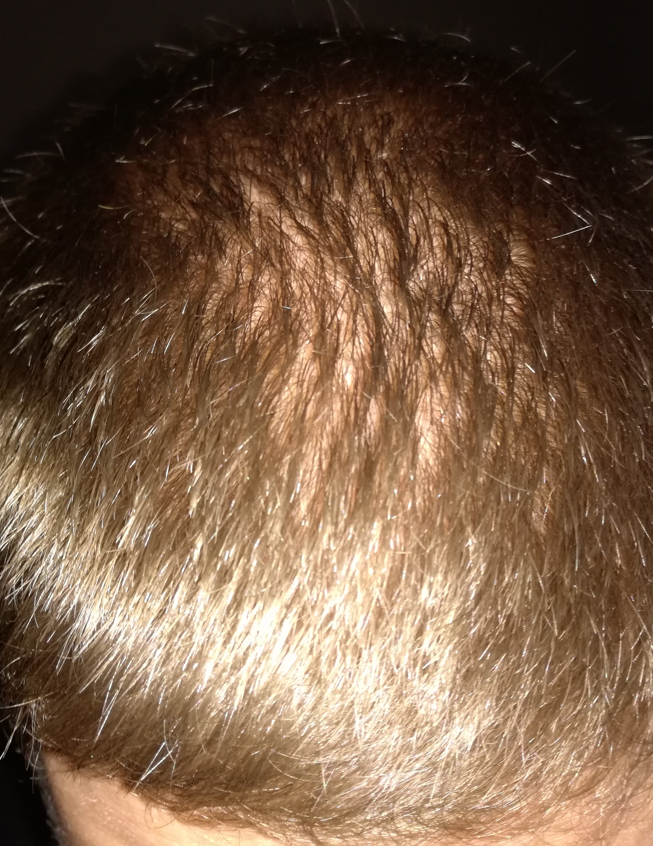 index.php/fa/22073/0/