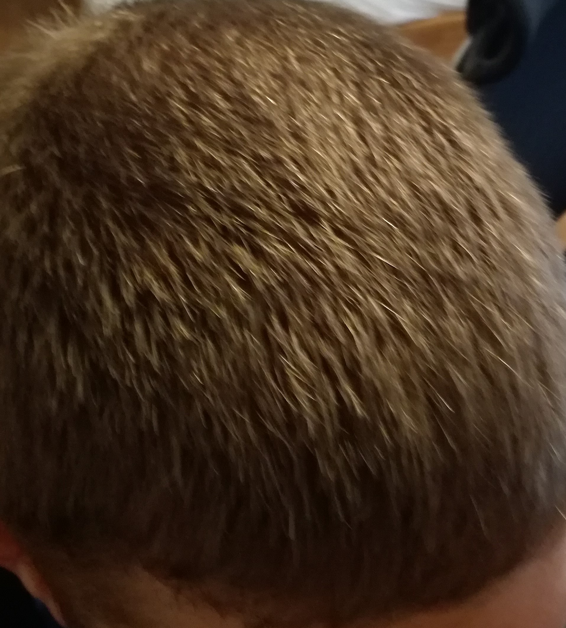 index.php/fa/22074/0/