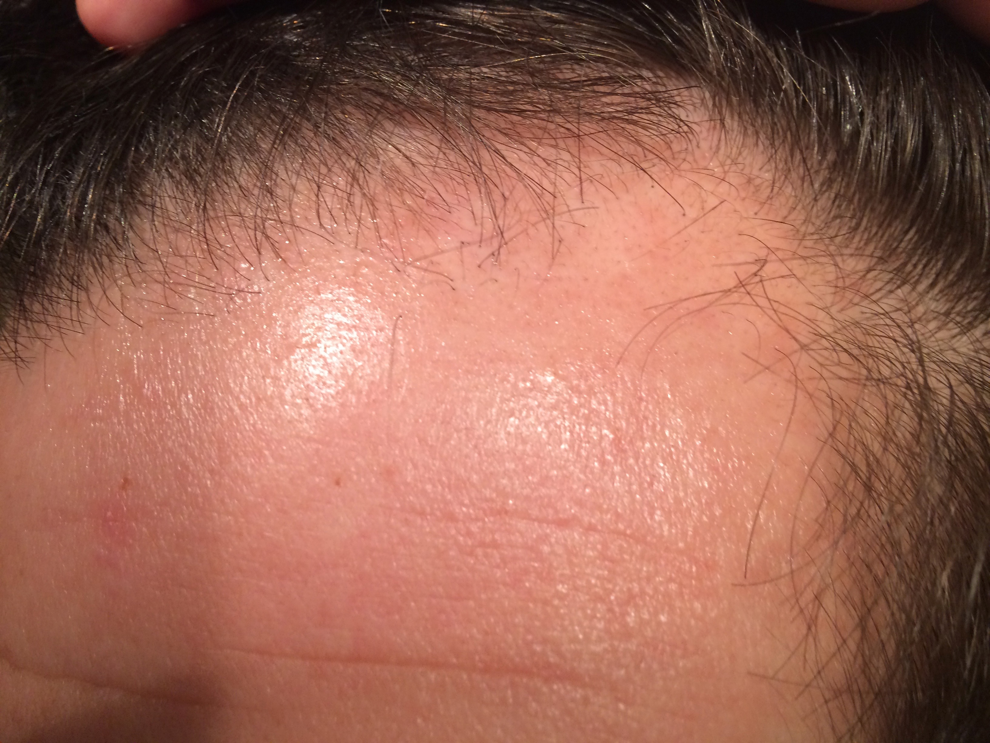 index.php/fa/22184/0/