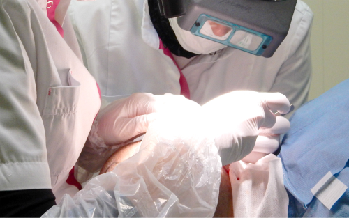 index.php/fa/22335/0/