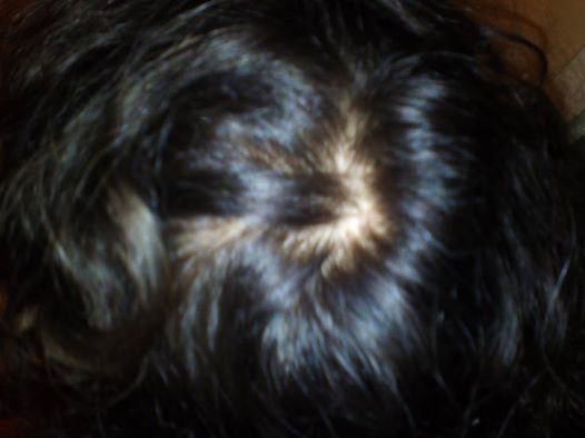 index.php/fa/22559/0/