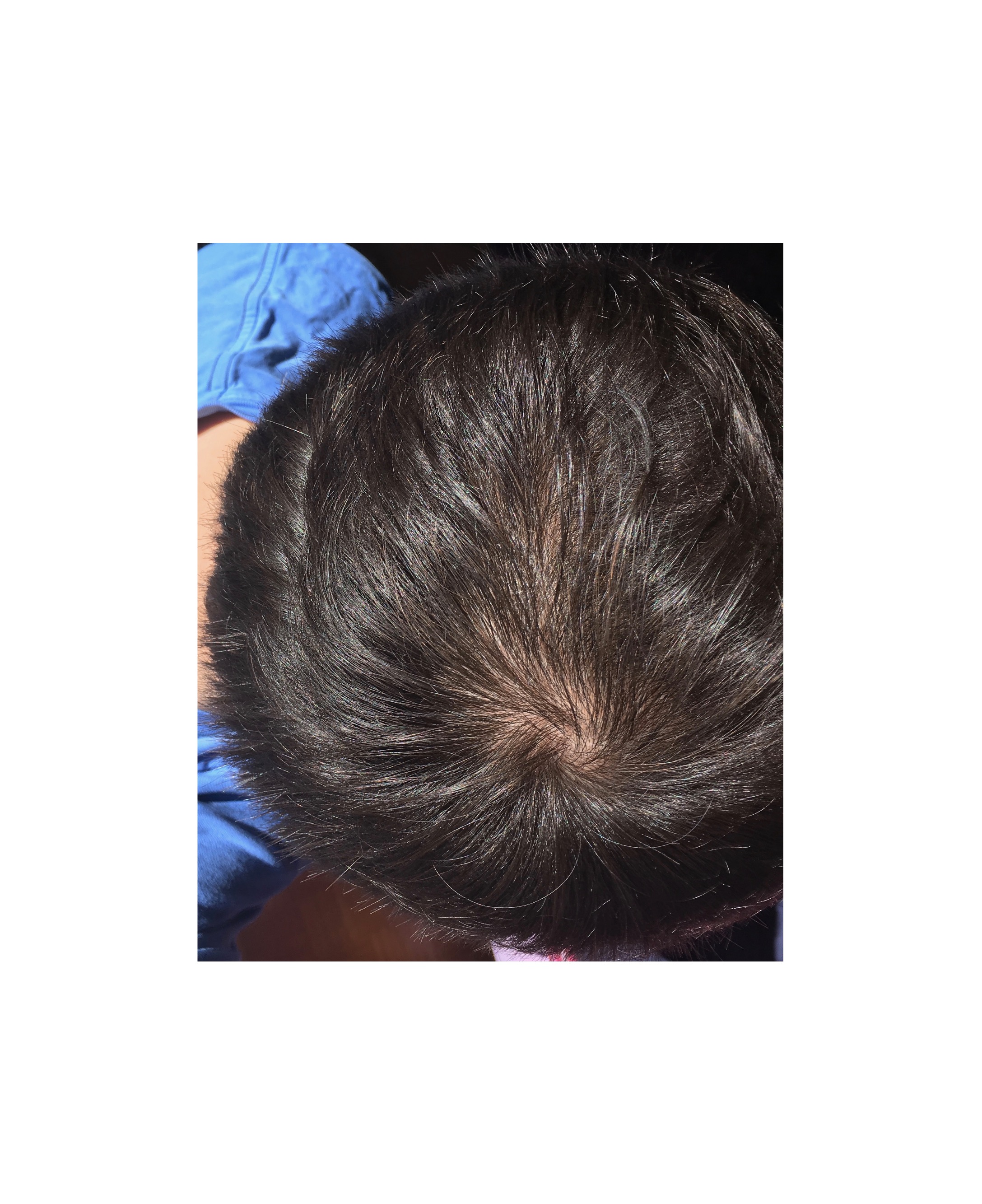 index.php/fa/23287/0/