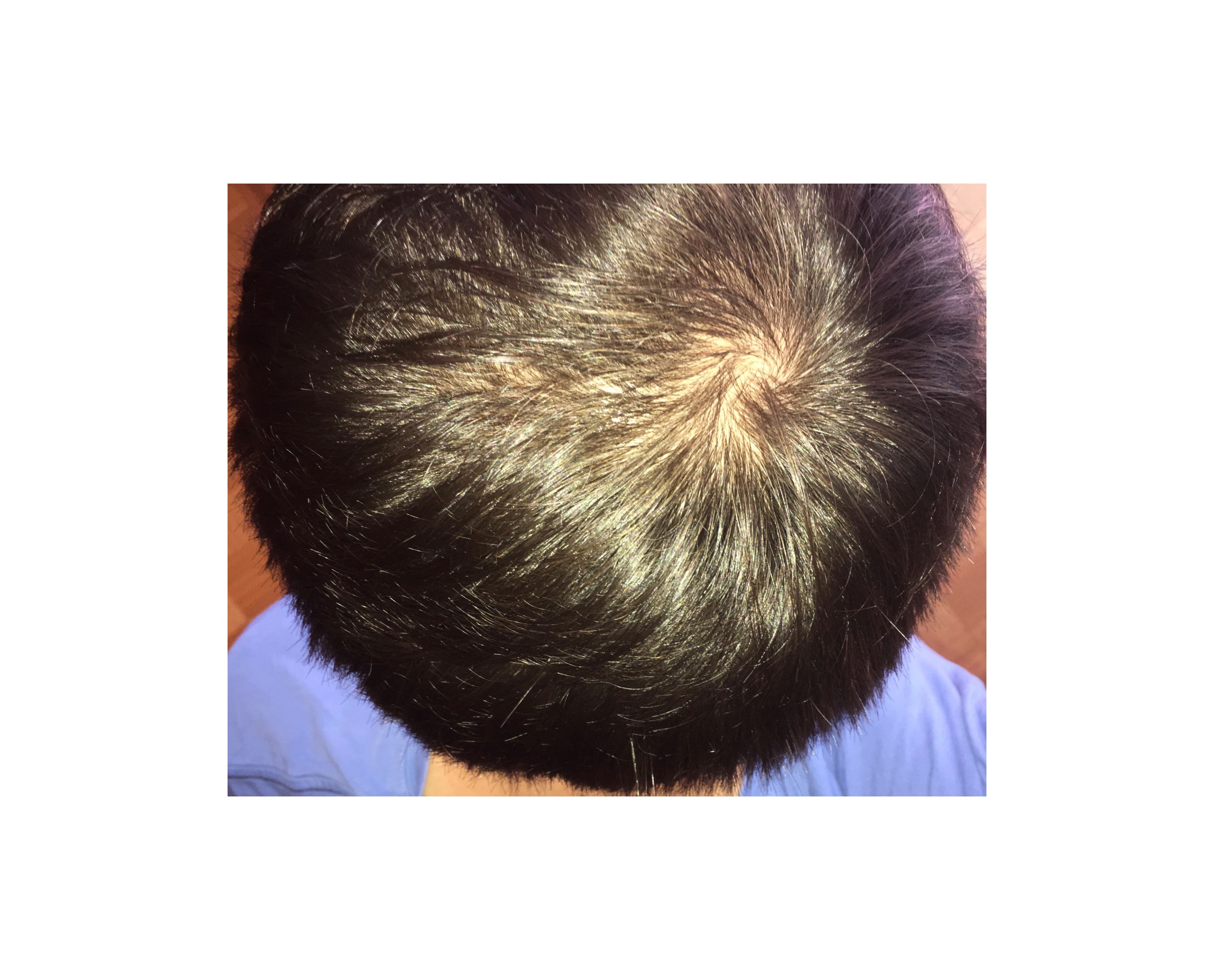 index.php/fa/23288/0/