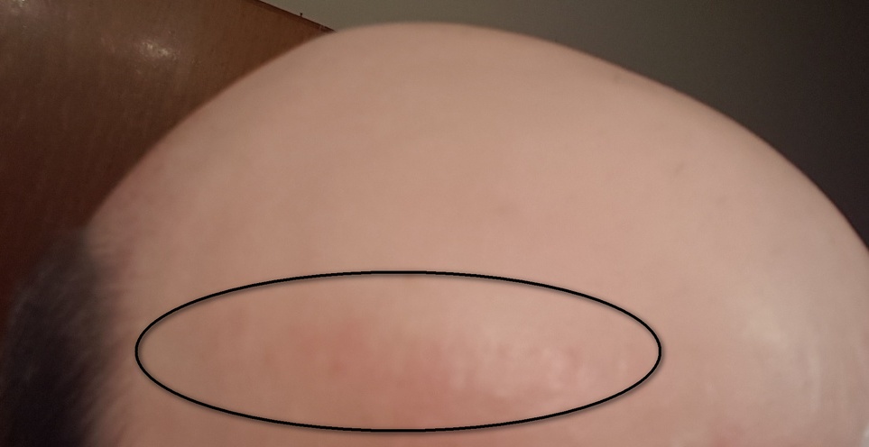 index.php/fa/23584/0/