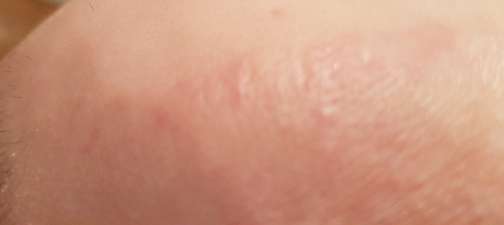 index.php/fa/23585/0/