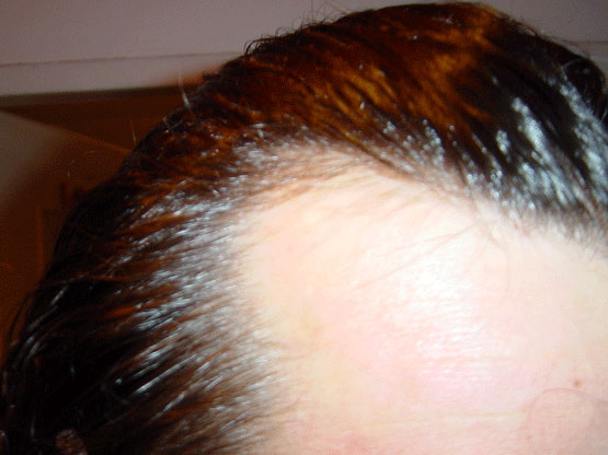 index.php/fa/2369/0/