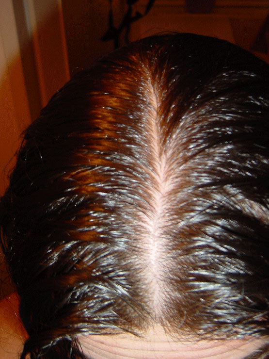 index.php/fa/2371/0/