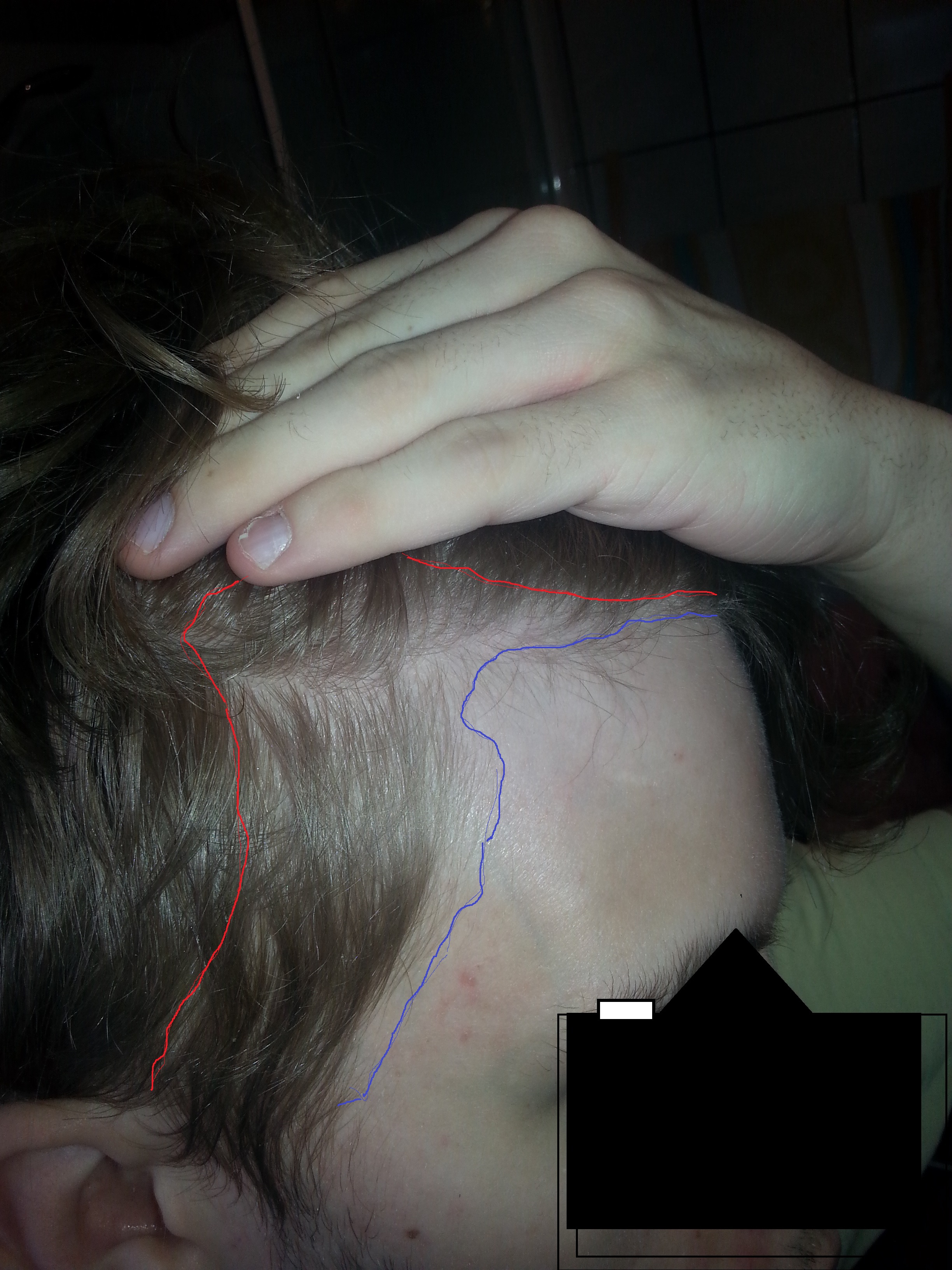 index.php/fa/24025/0/