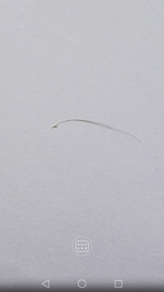 index.php/fa/24161/0/