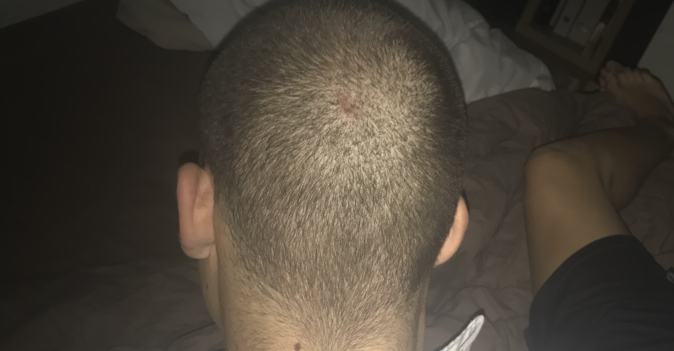 index.php/fa/24257/0/