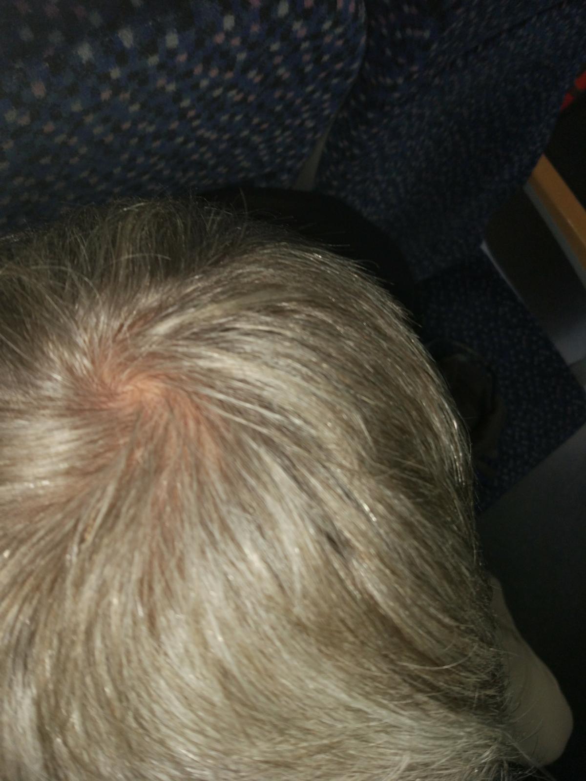 index.php/fa/24771/0/