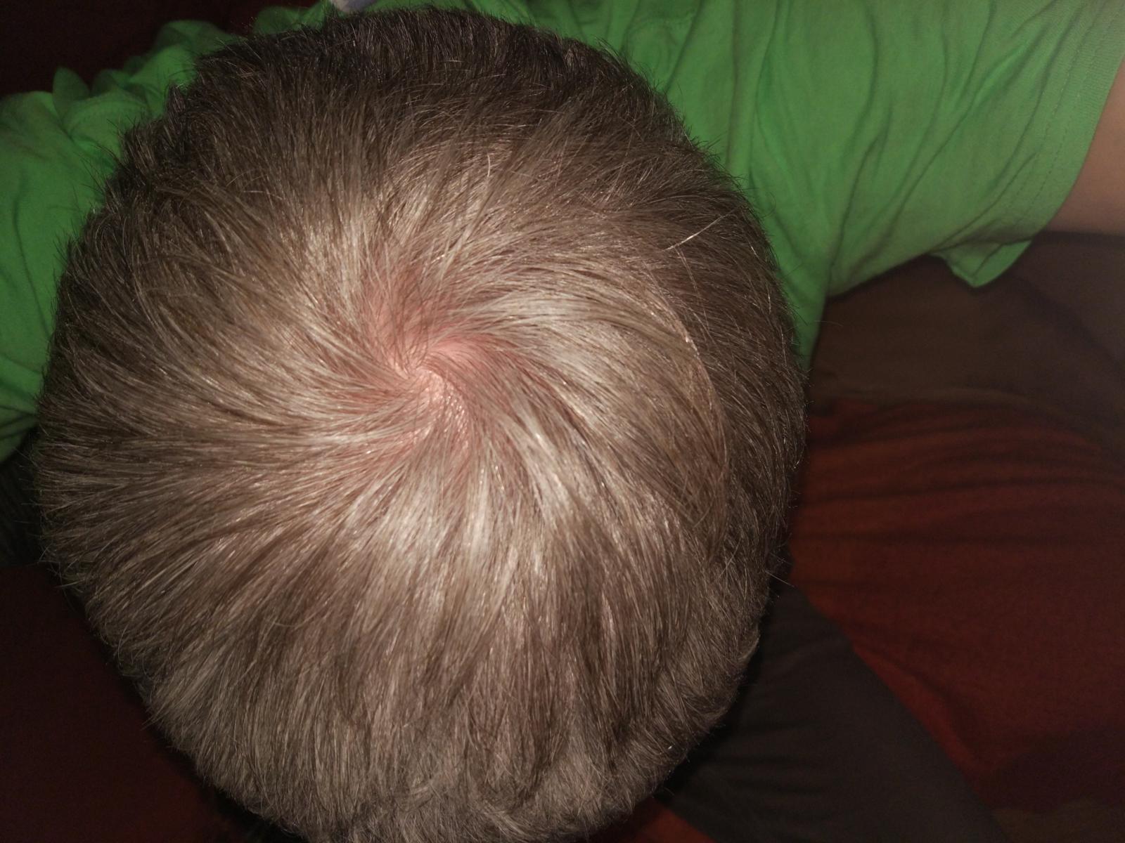 index.php/fa/24772/0/