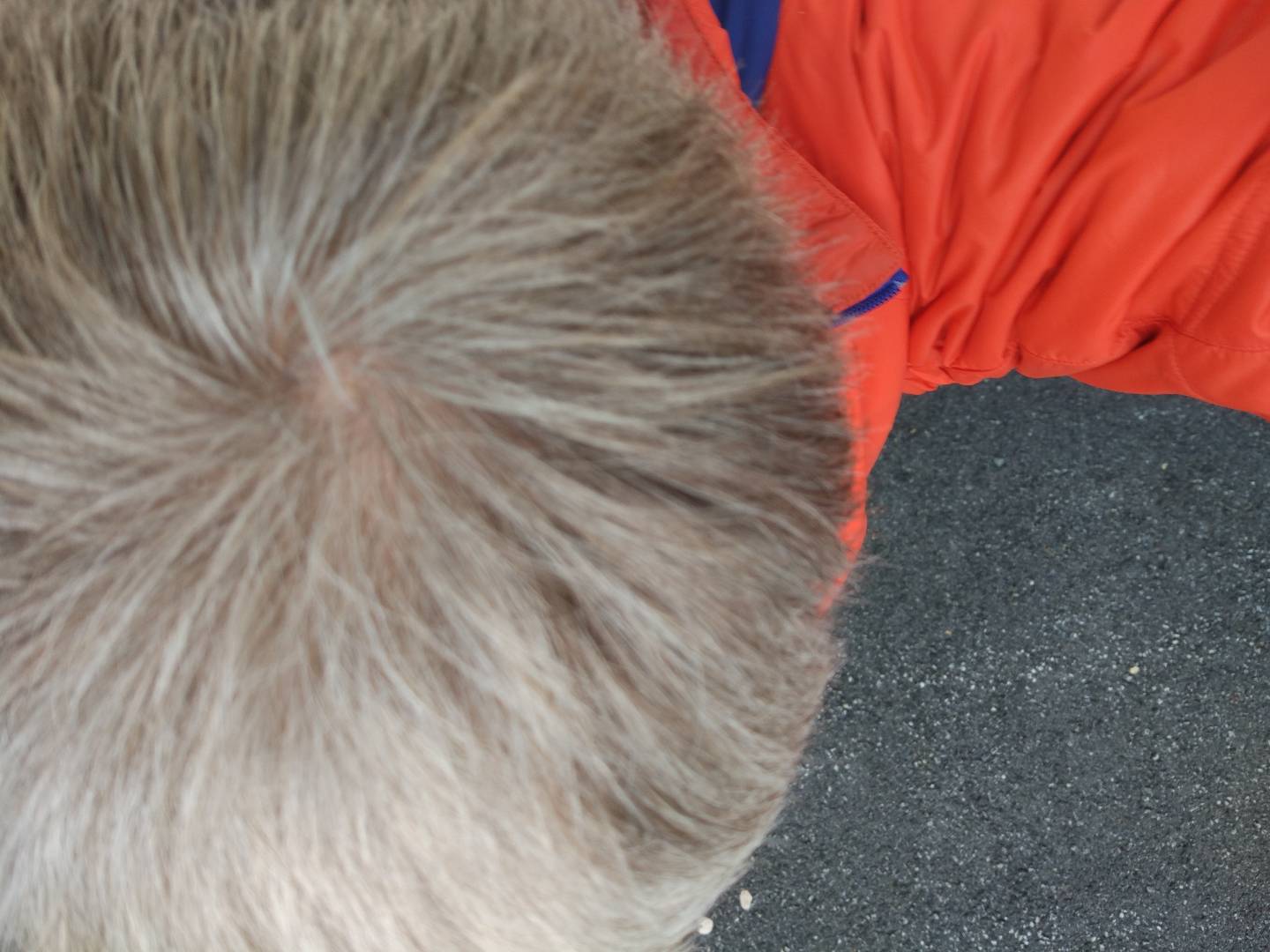 index.php/fa/24774/0/