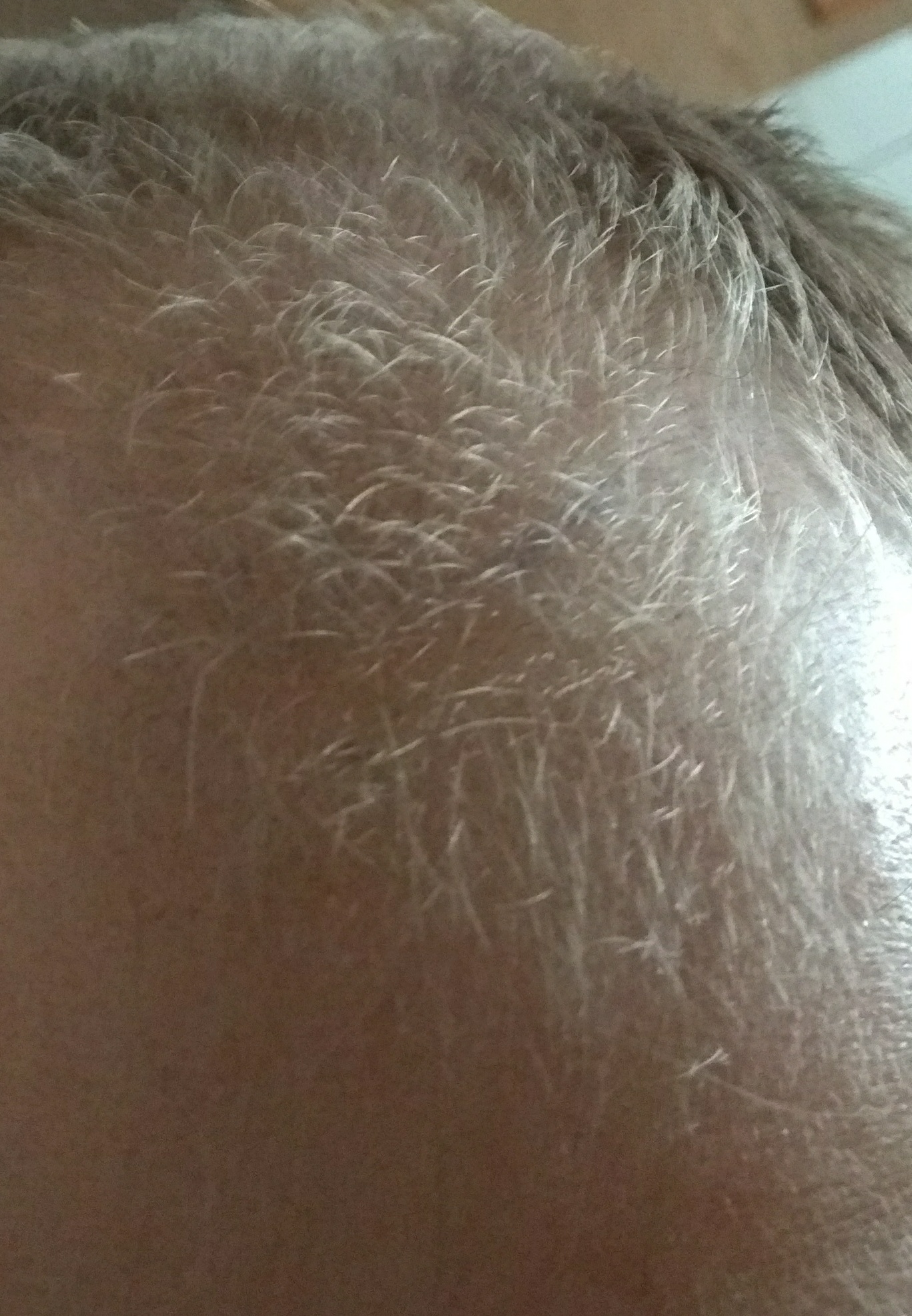 index.php/fa/25000/0/