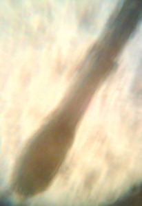 index.php/fa/2506/0/