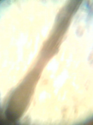 index.php/fa/2507/0/