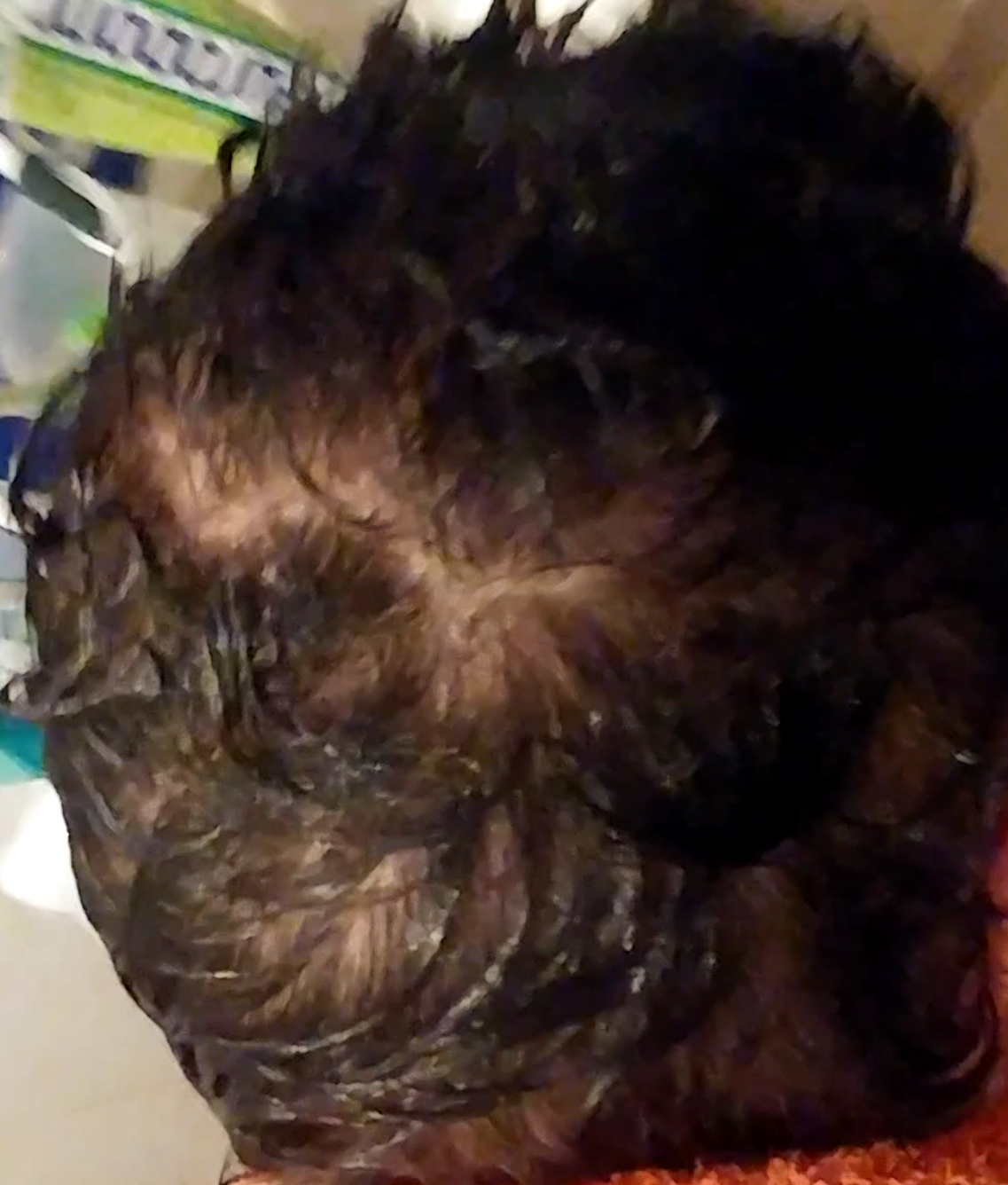 index.php/fa/25317/0/