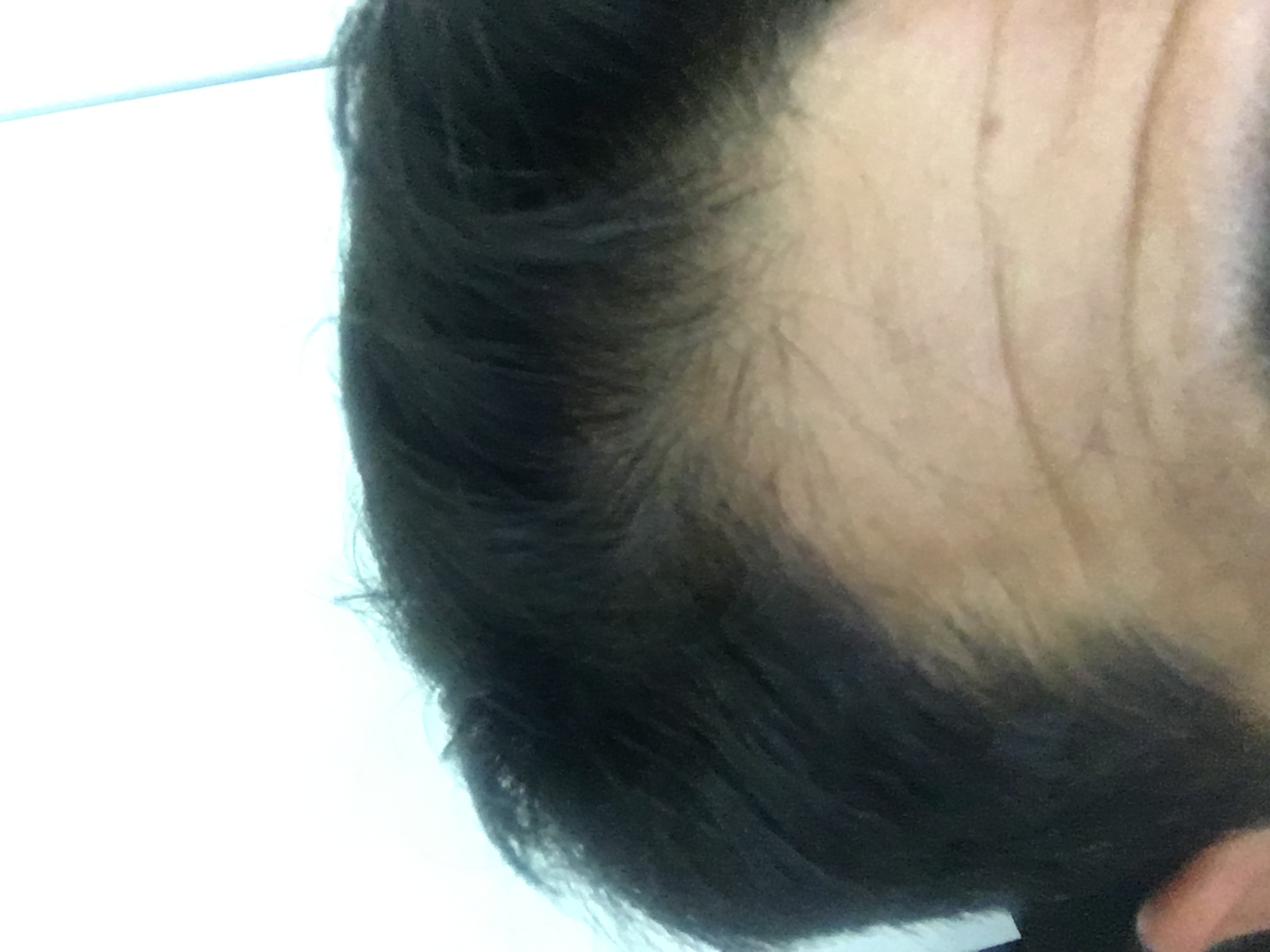 index.php/fa/25392/0/