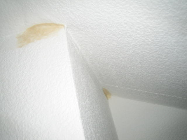 index.php/fa/2565/0/