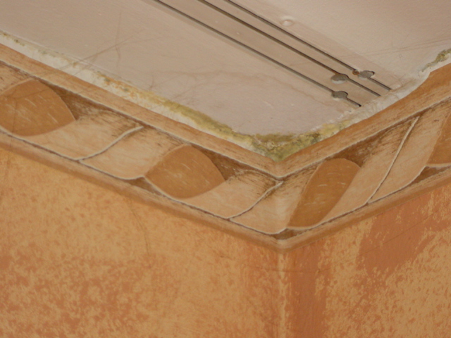 index.php/fa/2566/0/