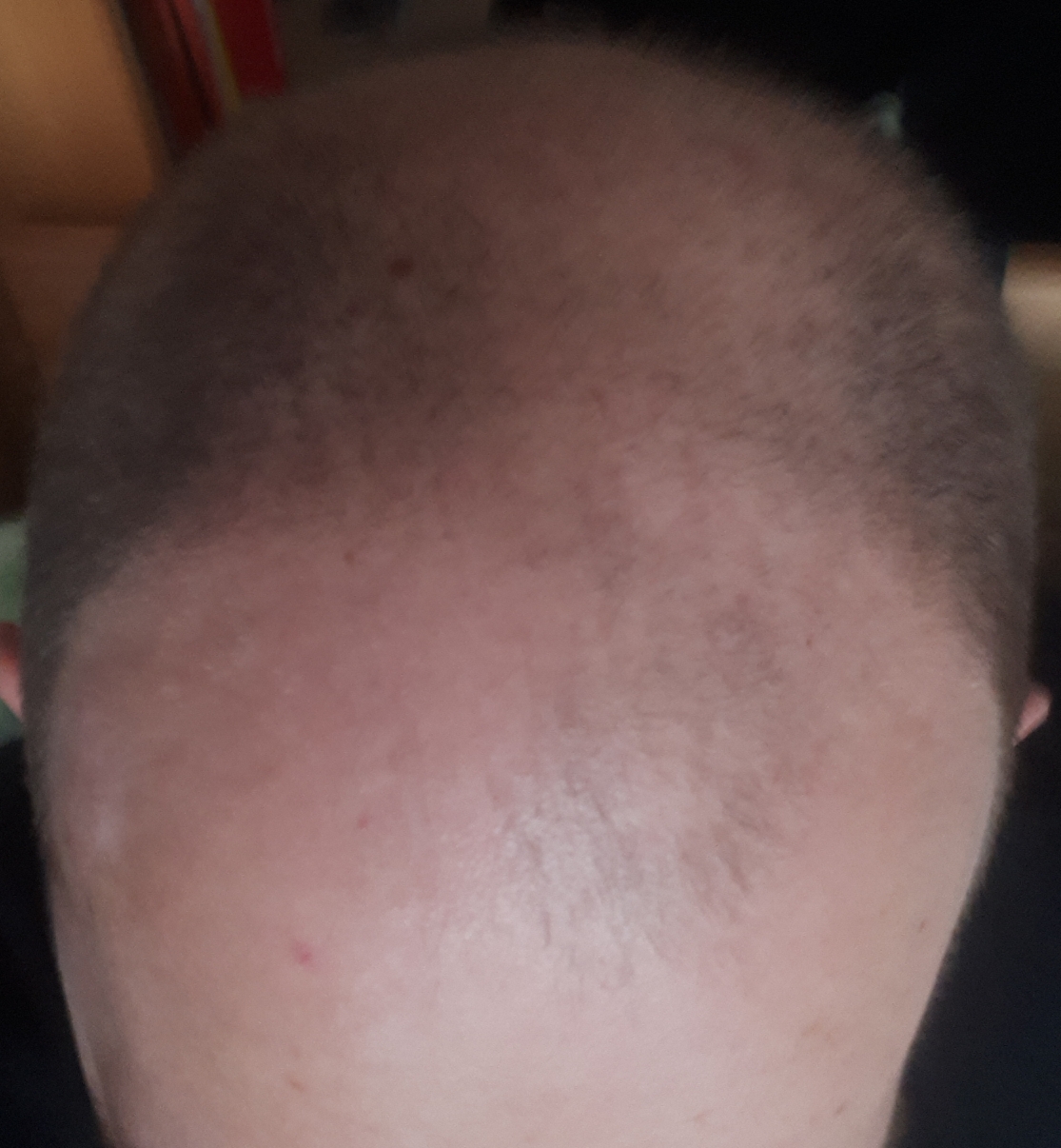 /fud/index.php/fa/26058/0/