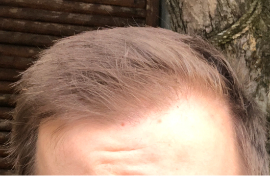 /fud/index.php/fa/26078/0/