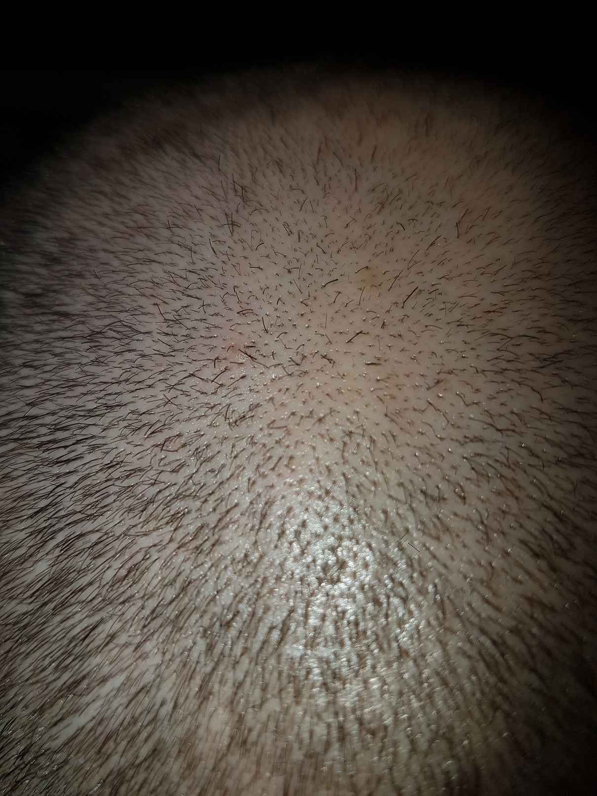 /fud/index.php/fa/26102/0/