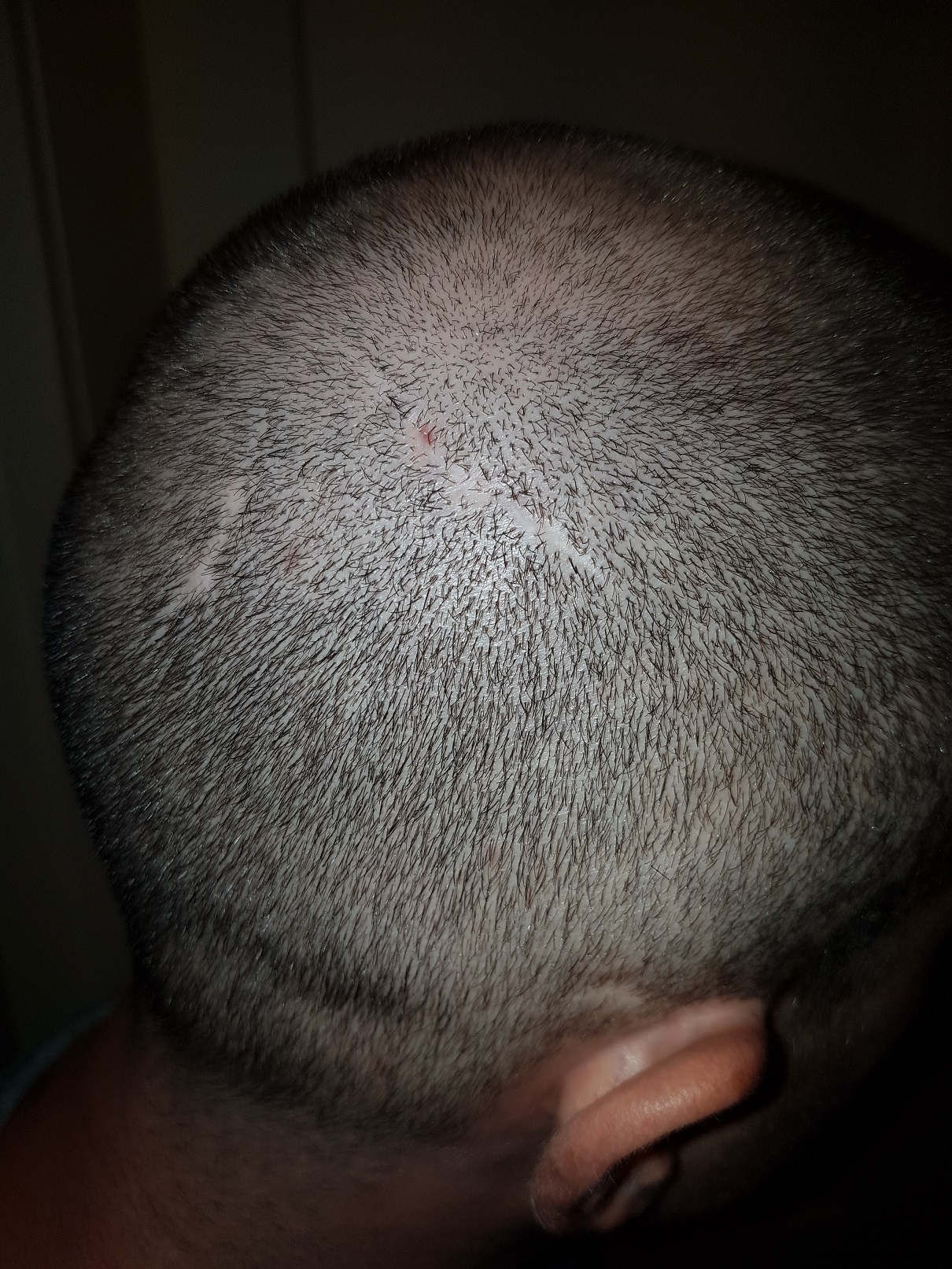 /fud/index.php/fa/26105/0/