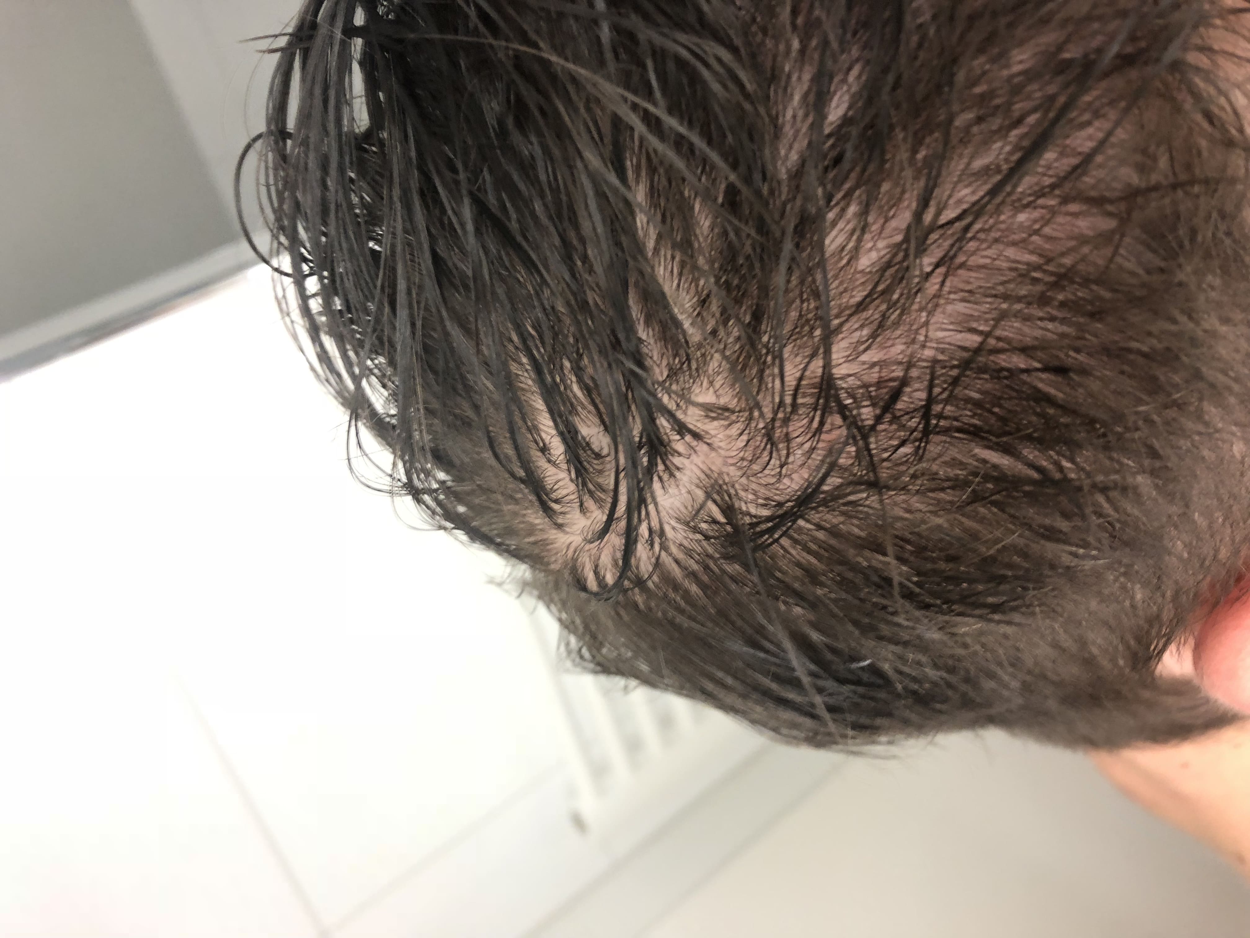 /fud/index.php/fa/26390/0/