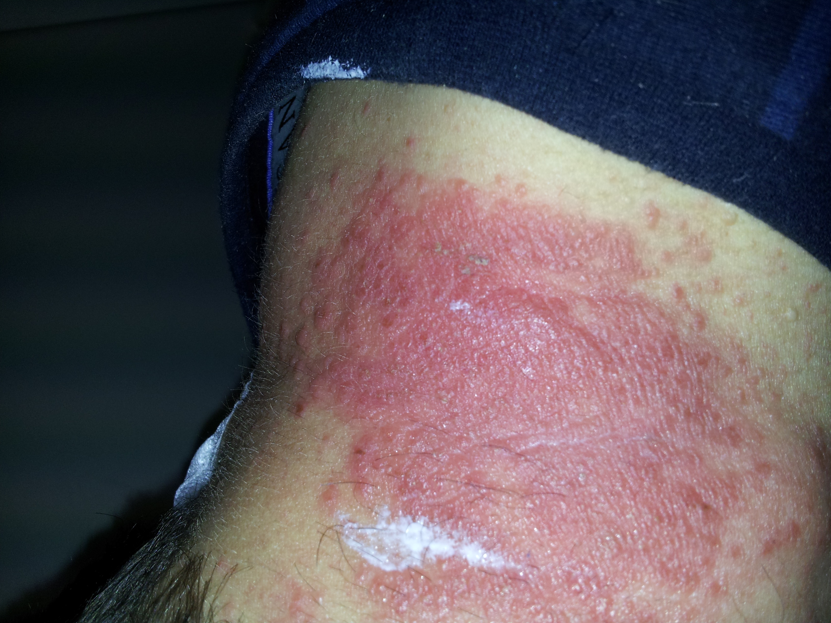 /fud/index.php/fa/26423/0/