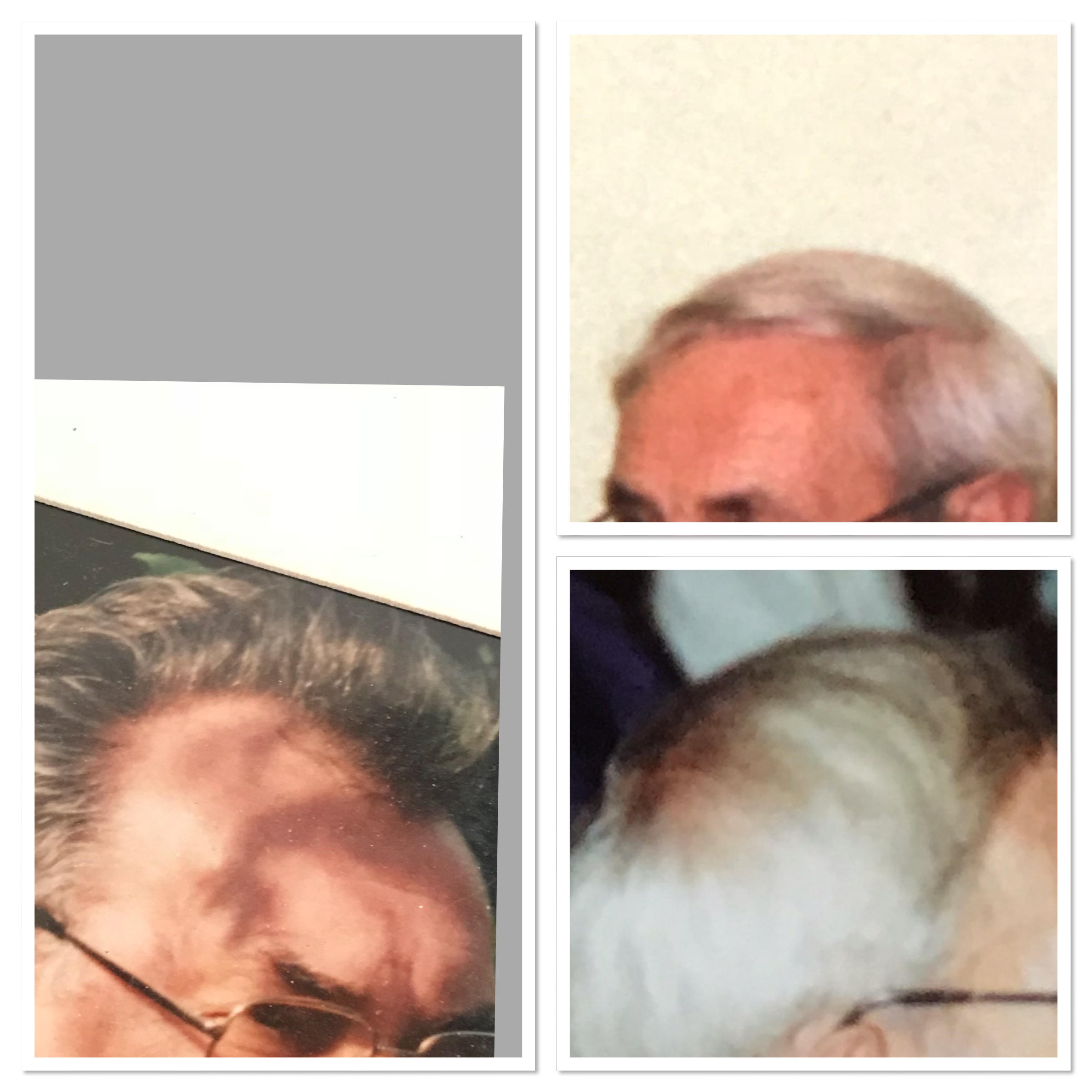 /fud/index.php/fa/26784/0/